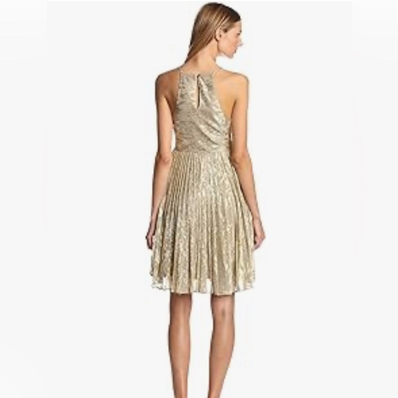 Sam Edelman Russian GoldRomance Dress - Picture 4 of 15